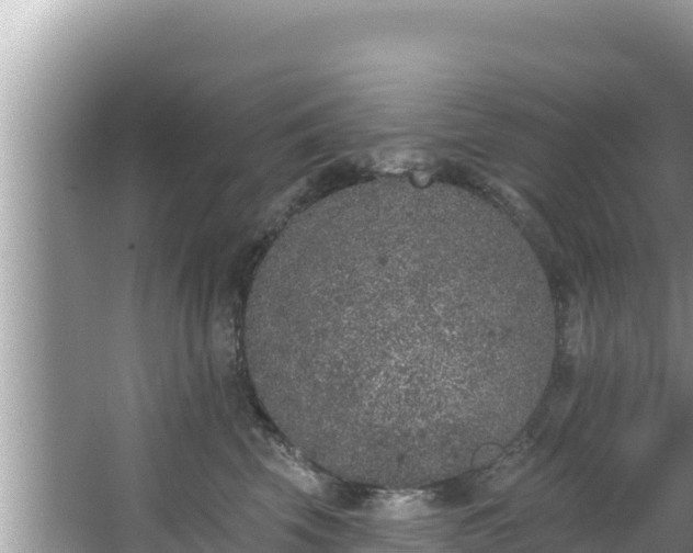 X0000067900569200604171406