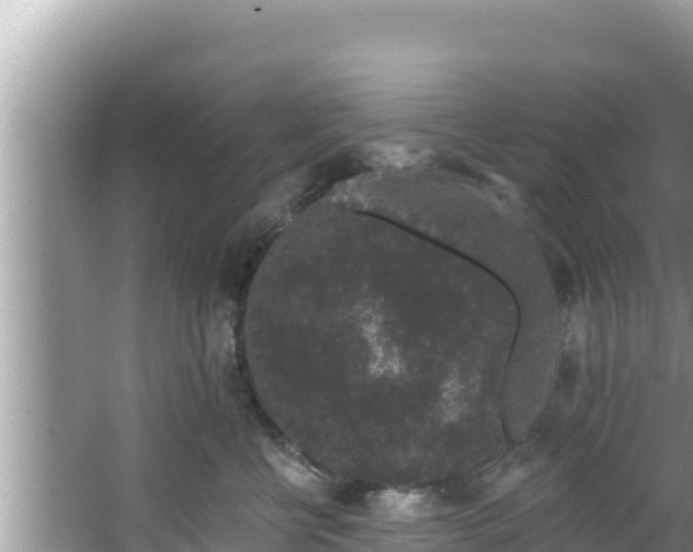 X0000067900570200604171406