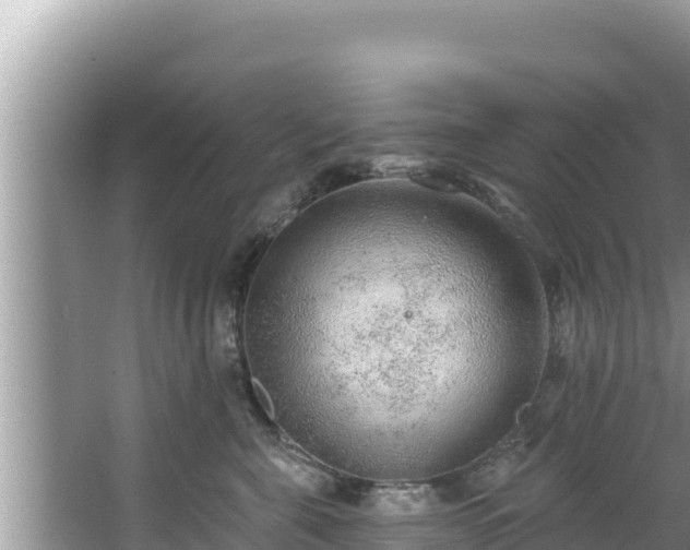 X0000067900571200604171406