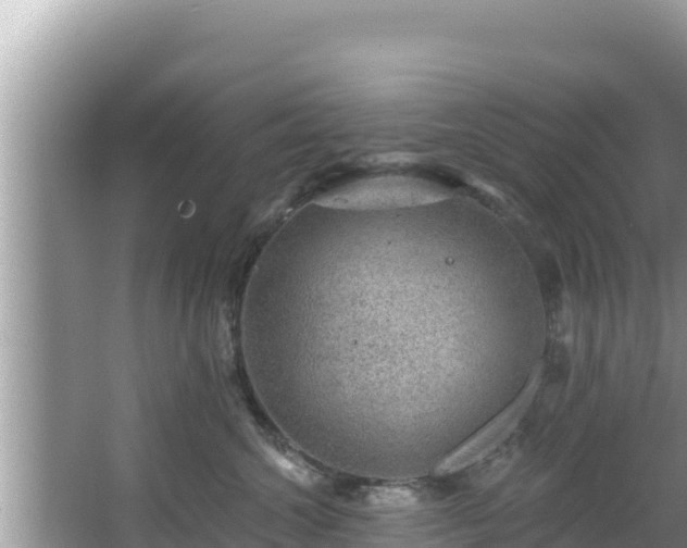 X0000067900572200604171406