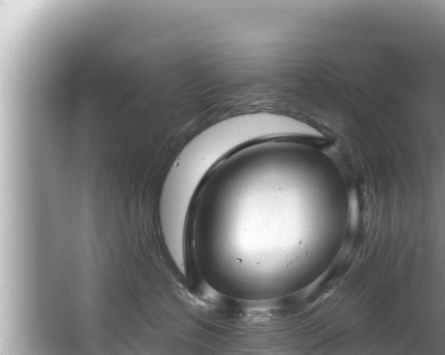 X0000067900574200604171406