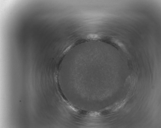 X0000067900576200604171406