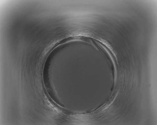 X0000067900577200604171405