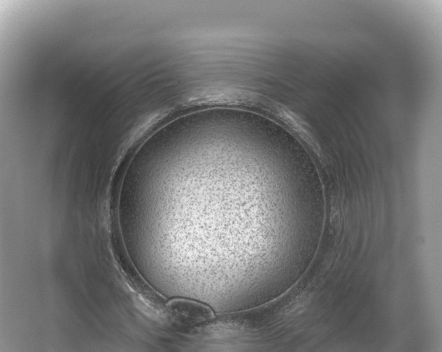 X0000067900578200604171405