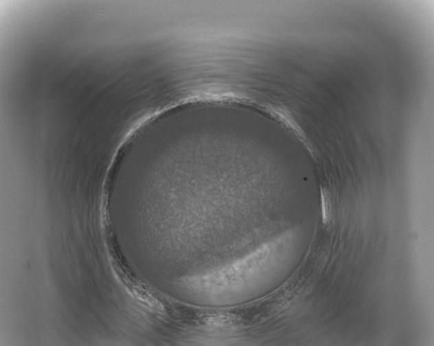 X0000067900579200604171405