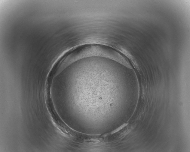 X0000067900580200604171405