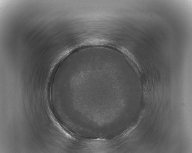 X0000067900581200604171405