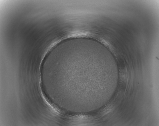 X0000067900582200604171405