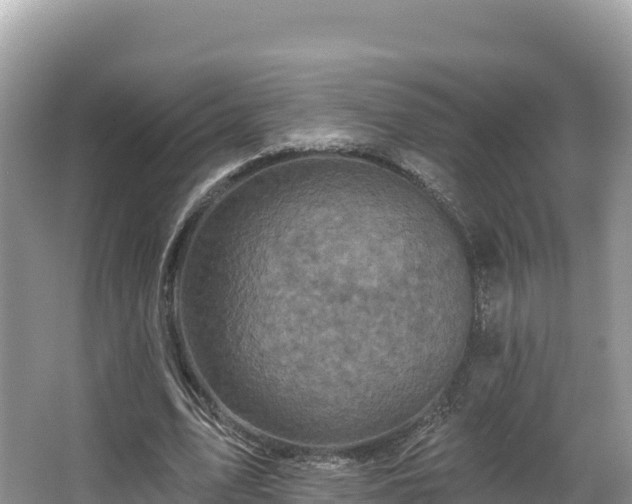 X0000067900583200604171405