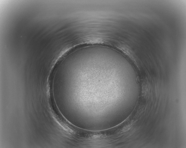 X0000067900584200604171405