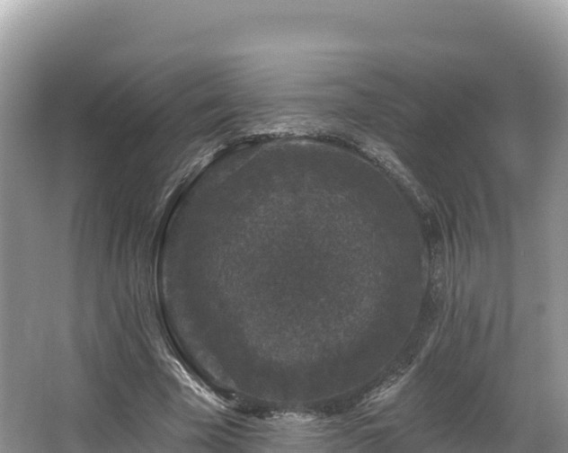 X0000067900585200604171405