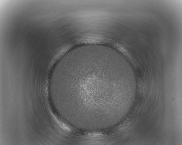 X0000067900586200604171405