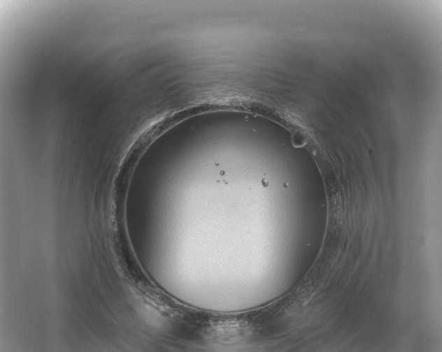 X0000067900587200604171405