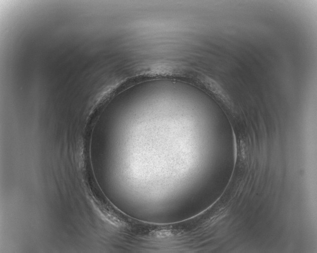 X0000067900588200604171405