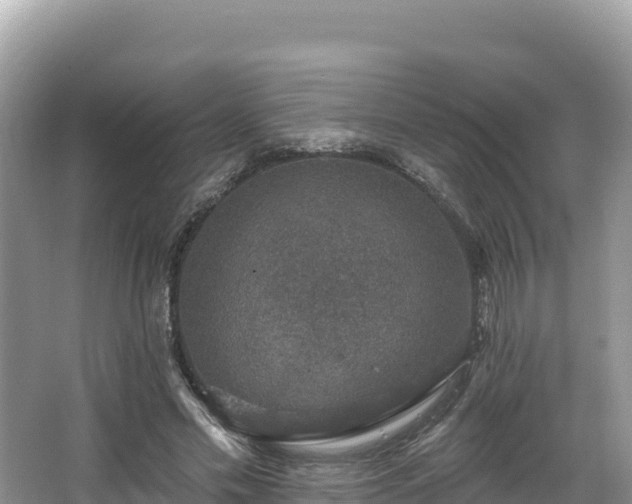 X0000067900589200604171405