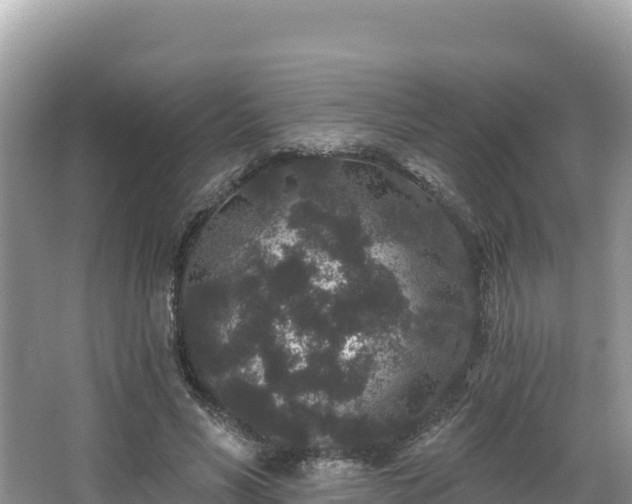 X0000067900590200604171405