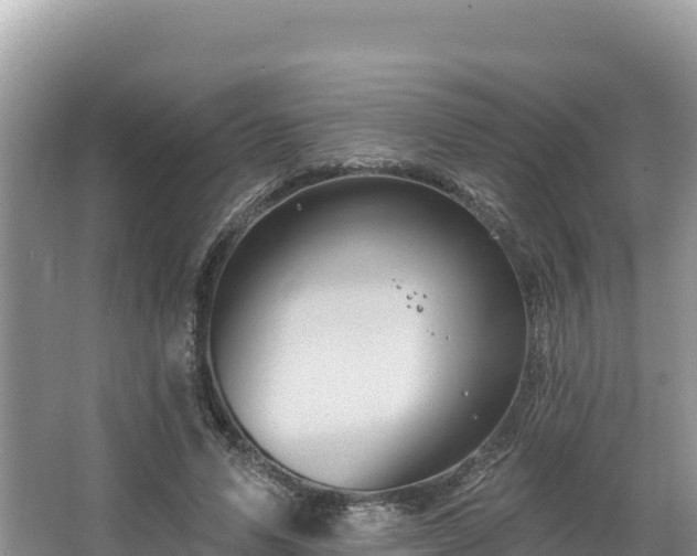 X0000067900591200604171405