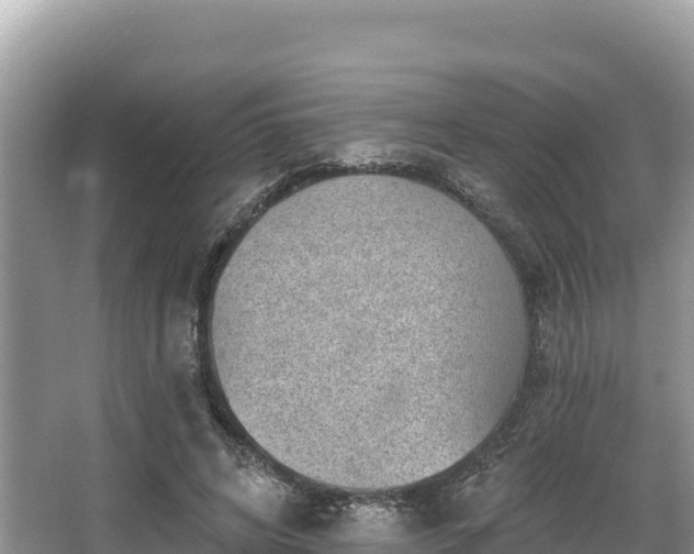 X0000067900592200604171405