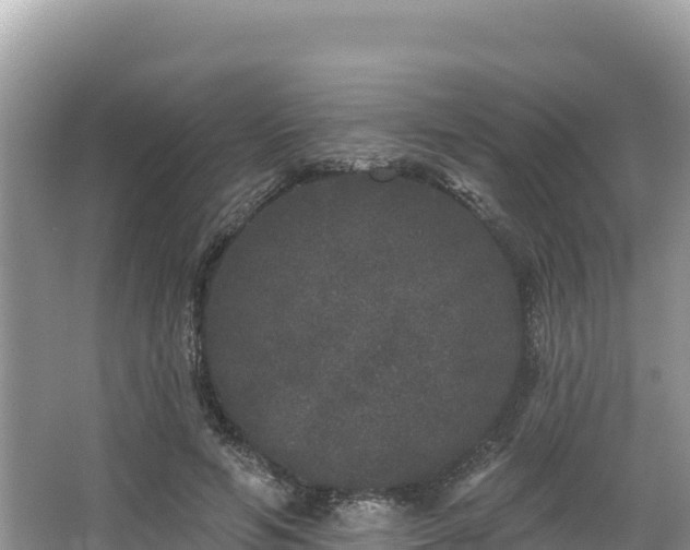 X0000067900594200604171405