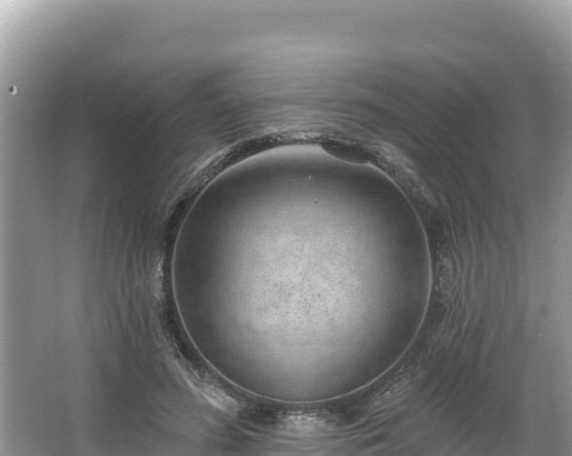 X0000067900596200604171405