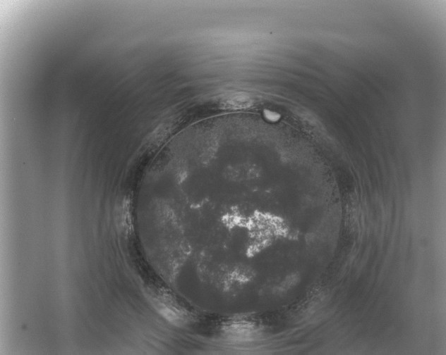 X0000067900598200604171405