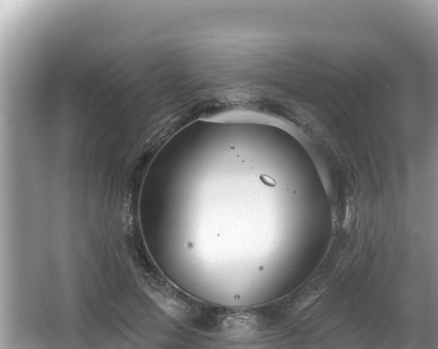 X0000067900599200604171405