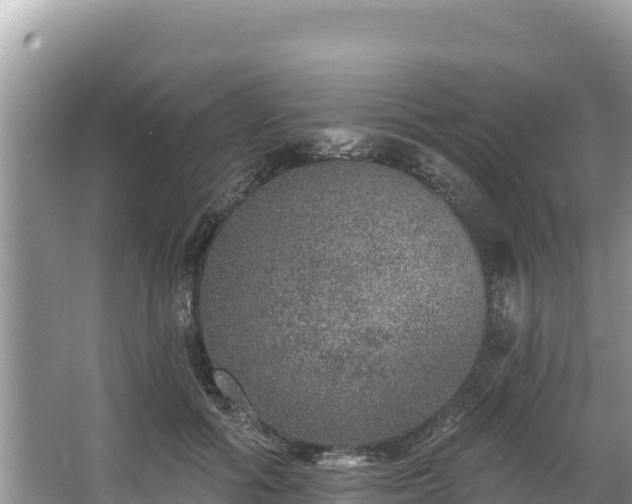 X0000067900602200604171405