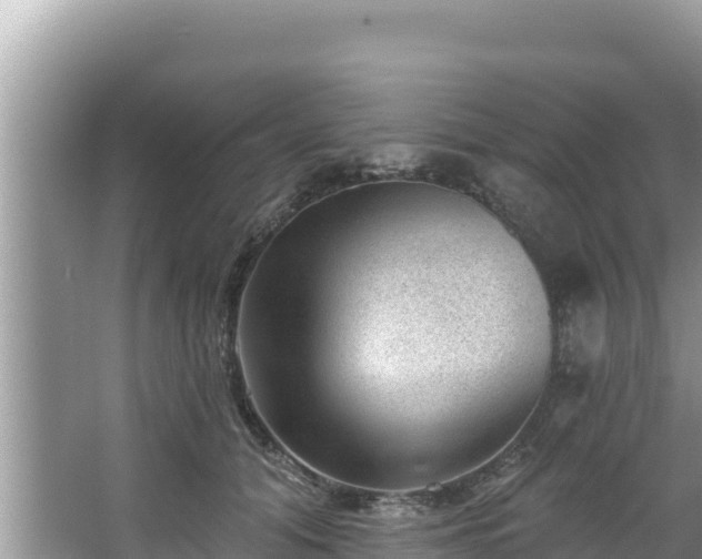 X0000067900608200604171405