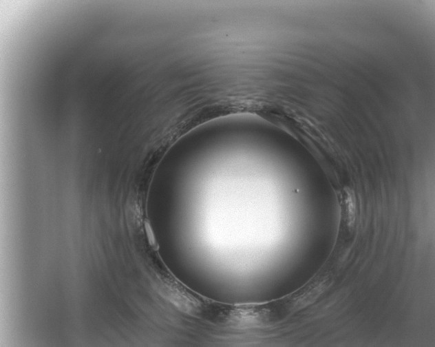 X0000067900613200604171405