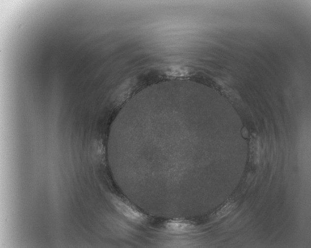 X0000067900614200604171405