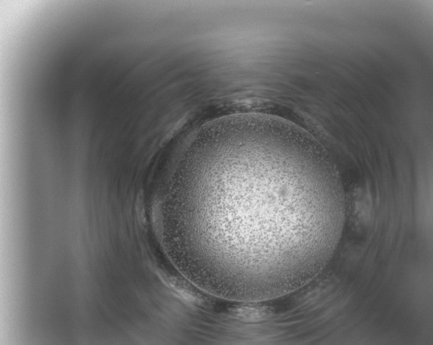 X0000067900615200604171405