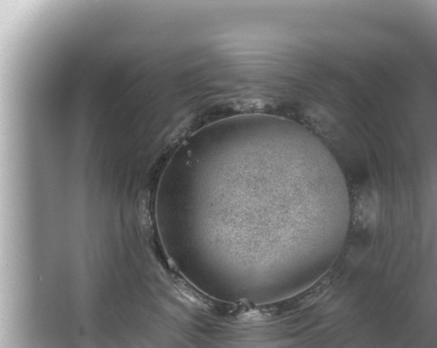 X0000067900616200604171405