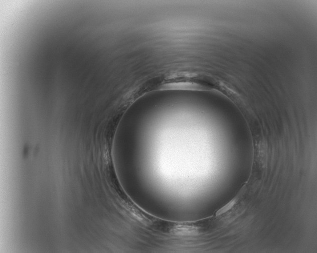 X0000067900617200604171404