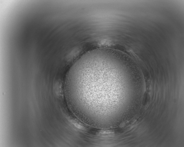 X0000067900619200604171404