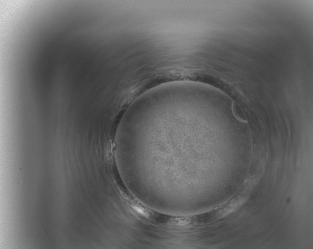 X0000067900624200604171404