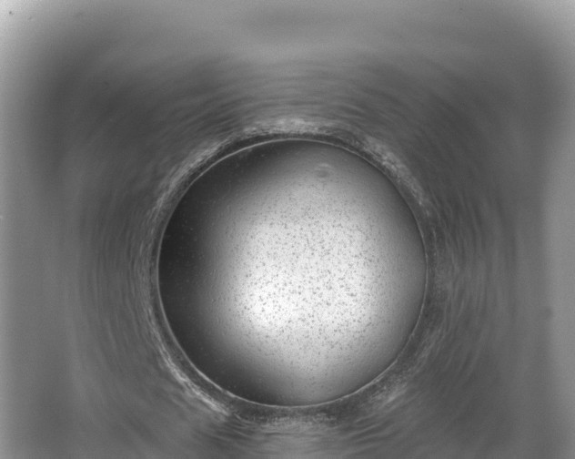 X0000067900625200604171404