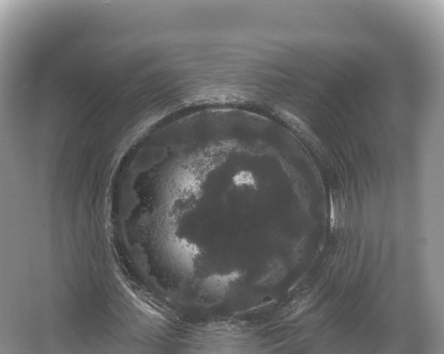 X0000067900627200604171404