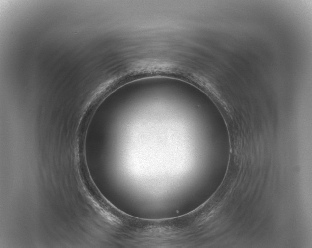 X0000067900629200604171404