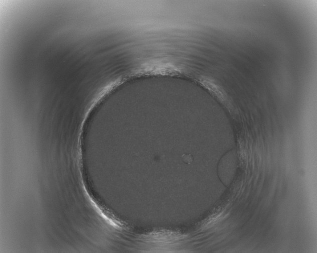 X0000067900630200604171404