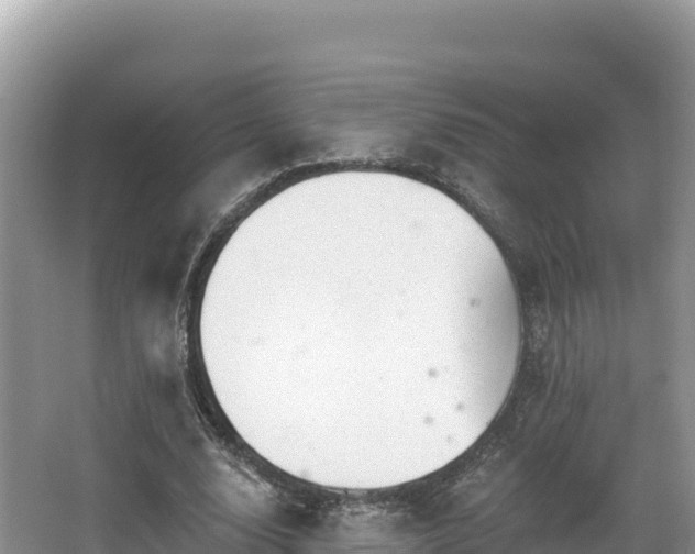 X0000067900632200604171404