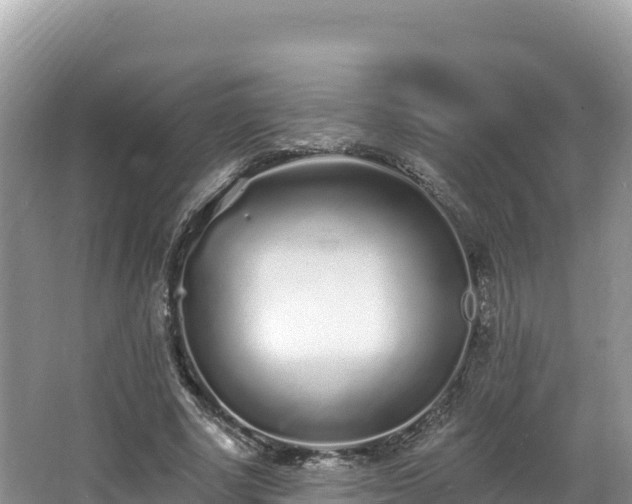 X0000067900634200604171404