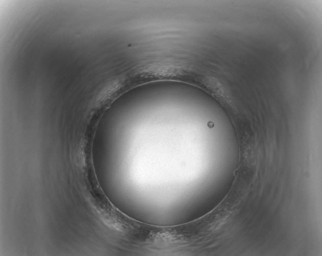 X0000067900635200604171404