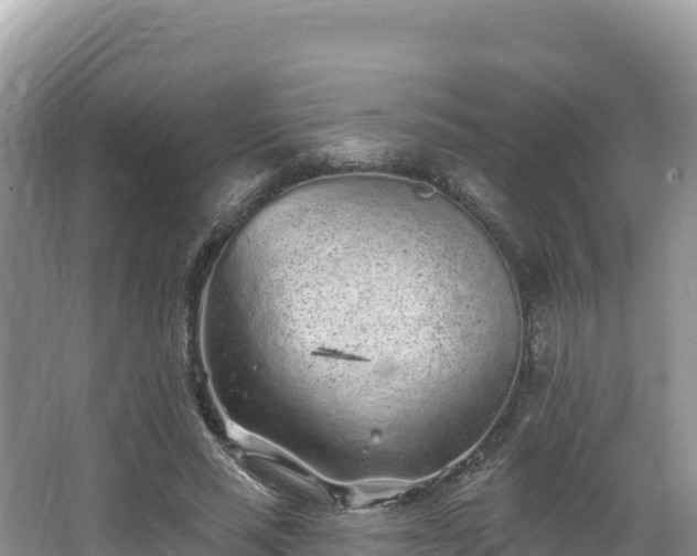 X0000067900637200604171404