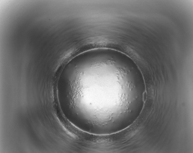 X0000067900638200604171404