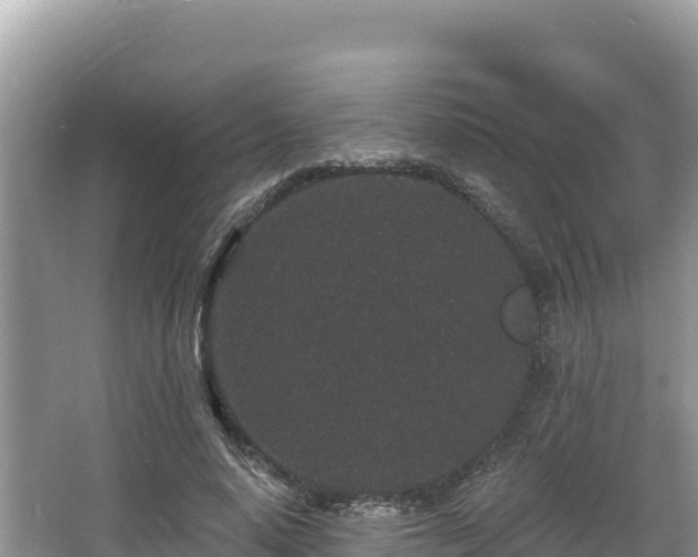 X0000067900640200604171404