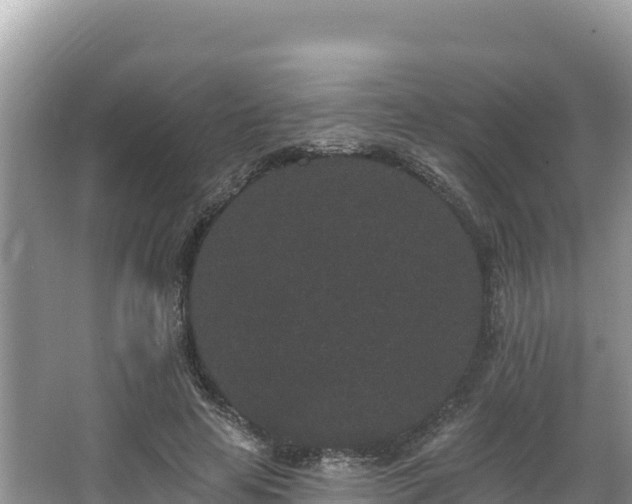 X0000067900641200604171404