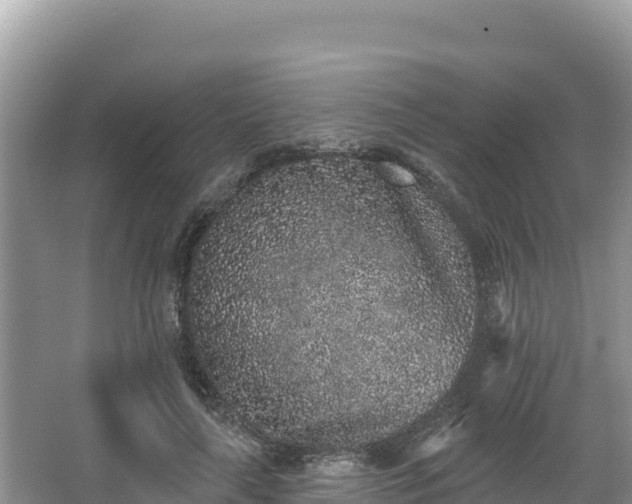 X0000067900643200604171404