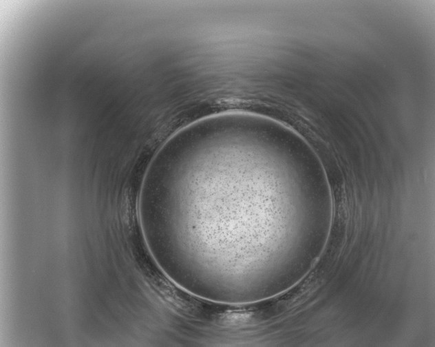 X0000067900651200604171404