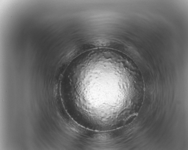 X0000067900652200604171404