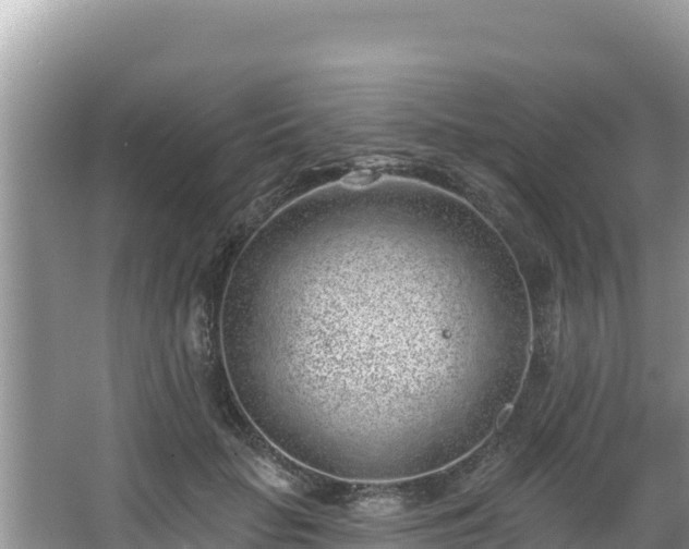 X0000067900653200604171404